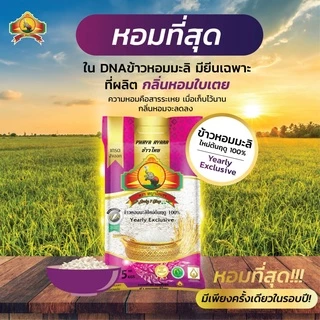 8.8 ลดสุด(โค้ดลด30% เหลือถุงละ160.-) (แพ็ก3)(ปี69) ข้าวหอมมะลิใหม่ต้นฤดู100% ขนาด5KG