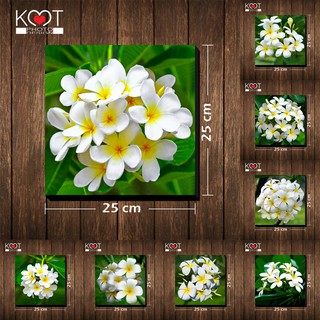 กรอบลอย ติดผนัง ภาพดอกไม้ ดอกลีลาวดี (ขนาด 25x25 ซม.)