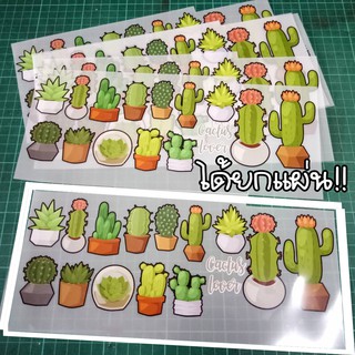 ตัวรีดกระบองเพชร ตัวรีดแคคตัส set ตัวรีดสุดน่ารัก Cactus DIY สำหรับติดเสื้อ หน้ากาก หมวก ร่ม กระเป๋า