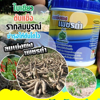 ลมเบ่งผง เพชรดำ 🌱 เพิ่มผลผลิตเท่าตัว ขนาด 500 g