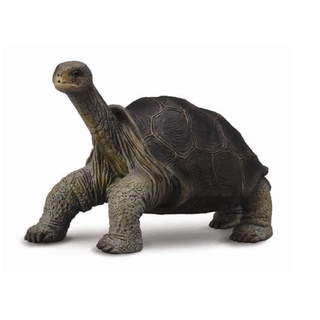 ใหม่ CollectA 88619 เต่าเกาะพินต้า (Lonesome George)