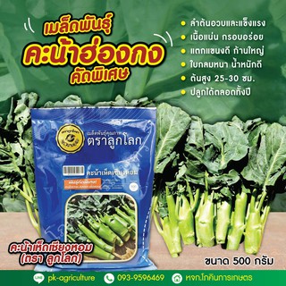 เมล็ดพันธุ์คะน้าเห็ดเชียงหอม (ฮ่องกง) ขนาด 500 กรัม