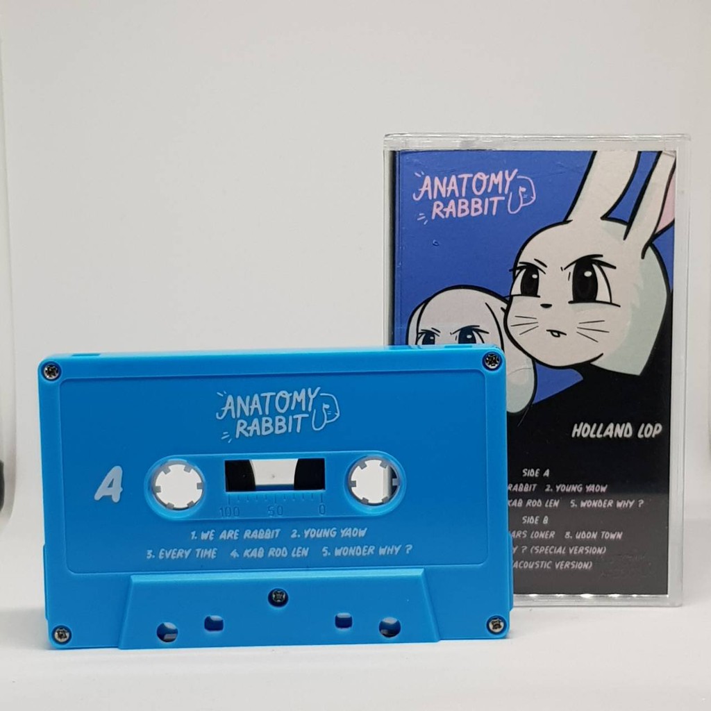 เทปเพลง Anatomy Rabbit Holland lop ❌sold out❌