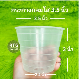 กระถางกลมใส ขนาด 3.5 นิ้ว (10ใบ)