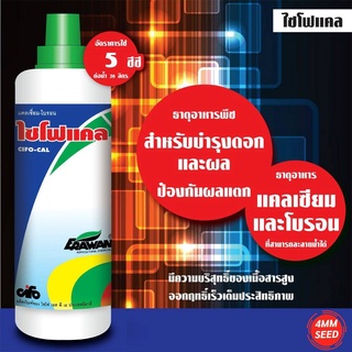 ไซโฟแคล ขนาด 1,000 ซีซี แคลเซียมและโบรอนเข้มข้น บำรุงผลอ่อน เร่งขยายลูก ป้องกันลูกแตก ปรับปรุงคุณภาพผลผลิตให้ดีขึ้น