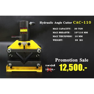 เครื่องตัดเหล็กฉากไฮดรอลิค Hydraulic Angle Cutter CAC-110