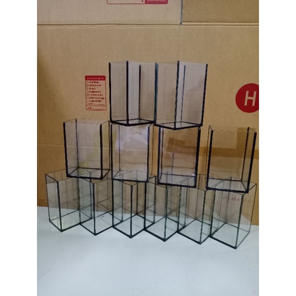 โหลปลากัด 4x3*x6 นิ้ว (12 ใบ)