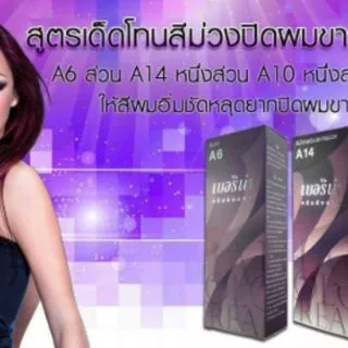 สีผม เบอริน่า Berina Hair Color