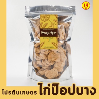 โปรตีนเกษตร ไก่ป็อปเจ 10 ชนิด วัตถุดิบเจ อาหารเจ รังนกเจ หมูสับเจ หนังไก่เจ เม็ดบัวเจ โปรตีนเกษตรแผ่นเจ Mercy Vegan