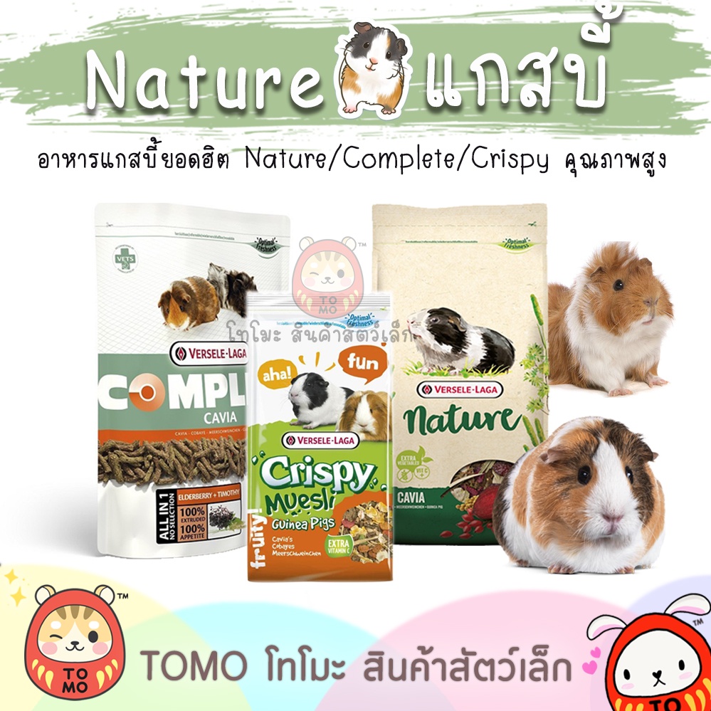 ร้านโทโมะ 💕 อาหารหนูแกสบี้ ยอดฮิต Nature, Complete, Crispy, Marukan มารุคัง หนูตะเภา แกสบี้ เควี่
