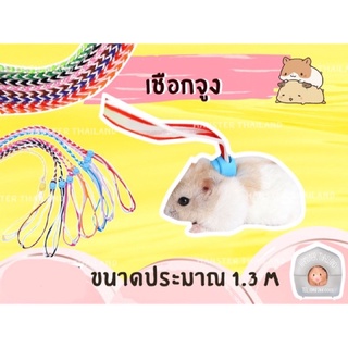 💖HamsterThailand💖 เชือกจูง สำหรับสัตว์เลี้ยง สั่งขั้นต่ำ50บาท แฮมสเตอร์ เม่นเเคระ กระต่าย กระรอก ชูการ์