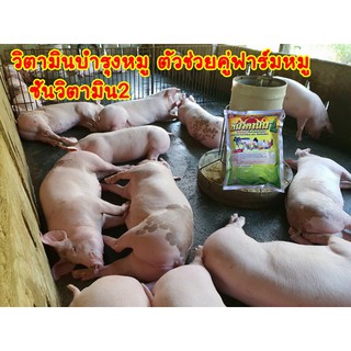 วิตามินหมู บำรุงหมูขุน อาหารเสริมหมู สารผสมล่วงหน้า ซันวิตามิน2 ชุดนี้ 6 กิโล