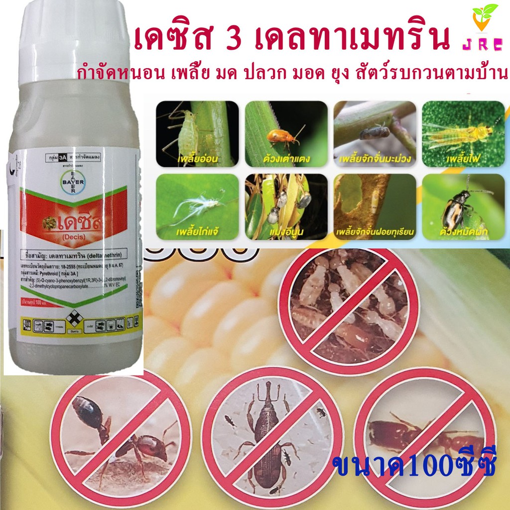 เดซิส_100ซีซี_เดลทาเมทริน3%_สารกำจัดแมลง_หนอน_เพลี้ย_สัตว์รบกวนตามบ้านและโรงเรือน ราคา ถูกที่สุด ดีลบีเคเค