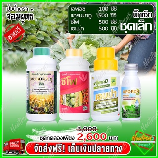 แกรมม่าทู (500 ) ปุ๋ยน้ำแกรมม่าทู+ซีโฟ ปุ๋ยน้ำซีโฟ (500 )+เอมม่า ปุ๋ยน้ำเอมม่า (500 ซีซี )+เอฟอช Aforch (100 ซีซี )