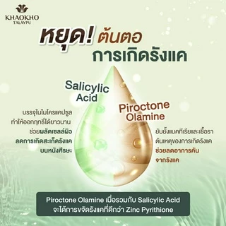 Khaokho Talaypu เขาค้อทะเลภู แชมพู สูตร Cooling & Balancing ขจัดรังแค เย็นสดชื่น (240 มล.)