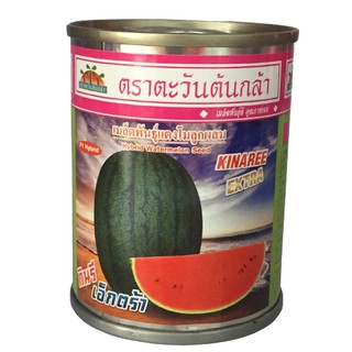 แตงโม กินรี เอ็กตร้า 40g ตะวันต้นกล้า