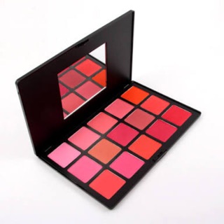 Miss Rose Professional Make-Up 15 Color Blushers