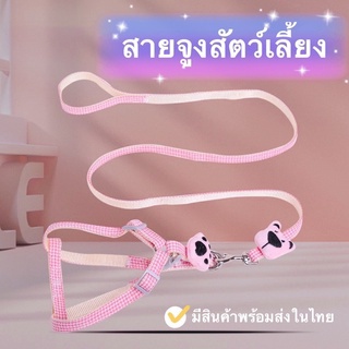 P260 สายรัดอกลายตารางน้องหมีมาพร้อมสายจูง สำหรับสัตว์เลี้ยง สายจูงหมา สายจูงแมว สายจูงสัตว์เลี้ยง