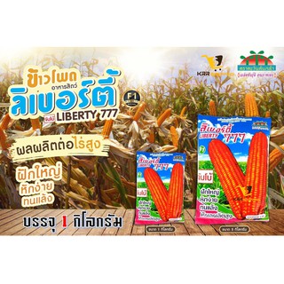 เมล็ดพันธุ์ ข้าวโพดอาหารสัตว์ ลิเบอร์ตี้ 777 จัมโบ้ (1 กิโลกรัม) ลิเบอร์ตี้ จัมโบ้ ลิเบอร์ตี้จัมโบ้ ลิเบอร์ตี้ 777จัมโบ้