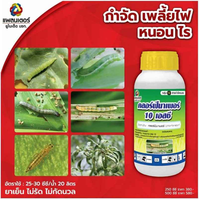 คลอร์ฟีนาเพอร์ 10 เอสซี ขนาด 250 มิลิลิตร(ยาเพลี้ยไฟกลุ่มใหม่) ยาเย็น ไม่รัดไม่กัดนวล กำจัดหนอนกระทู้ข้าวโพด ไรขาว ไรแดง - รูปที่ 2