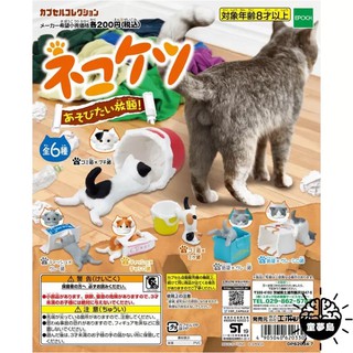 เซ็ต 6 กาชาปอง แมว ทาสแมว ของเล่น ของจิ๋ว cat gashapon