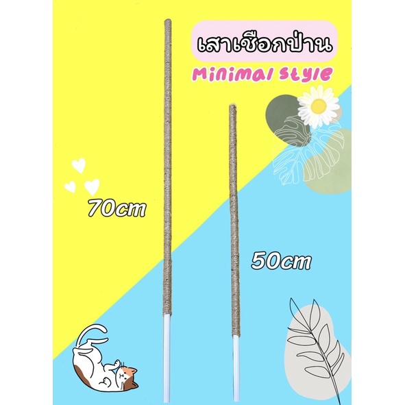 ไม้ค้ำมินิมอล 50cm 70cm ✅ไม้ค้ำต้นไม้ เสาต้นไม้ 10 แถม 1 เสามินิมอล minimal ยาว 70 cm พันด้วยเชือกป่