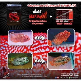 ARO PLUS วิตามินเร่งสีปลามังกร ปลาอโรวาน่า แบบผง Vitamin for Arowana ขนาด 10 กรัม