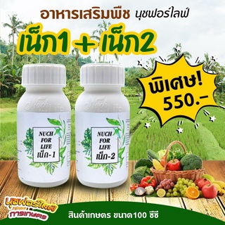 เน็ก-1+ เน็ก-2 (ขนาด 100 ซีซี) แตกรากแตกใบใหม่ ขยายลำต้น ทำให้ติดดอกออกผลมากขึ้น ป้องกันเชื้อรา นุชฟอร์ไลฟ์