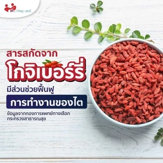 โกจิเบอร์รี่แดง ออร์แกนิค พร้อมทาน 150 กรัม วิตามินซีสูงมากกว่าส้ม500เท่าป้องกันหวัด (Organic Goji berry )4289&6395