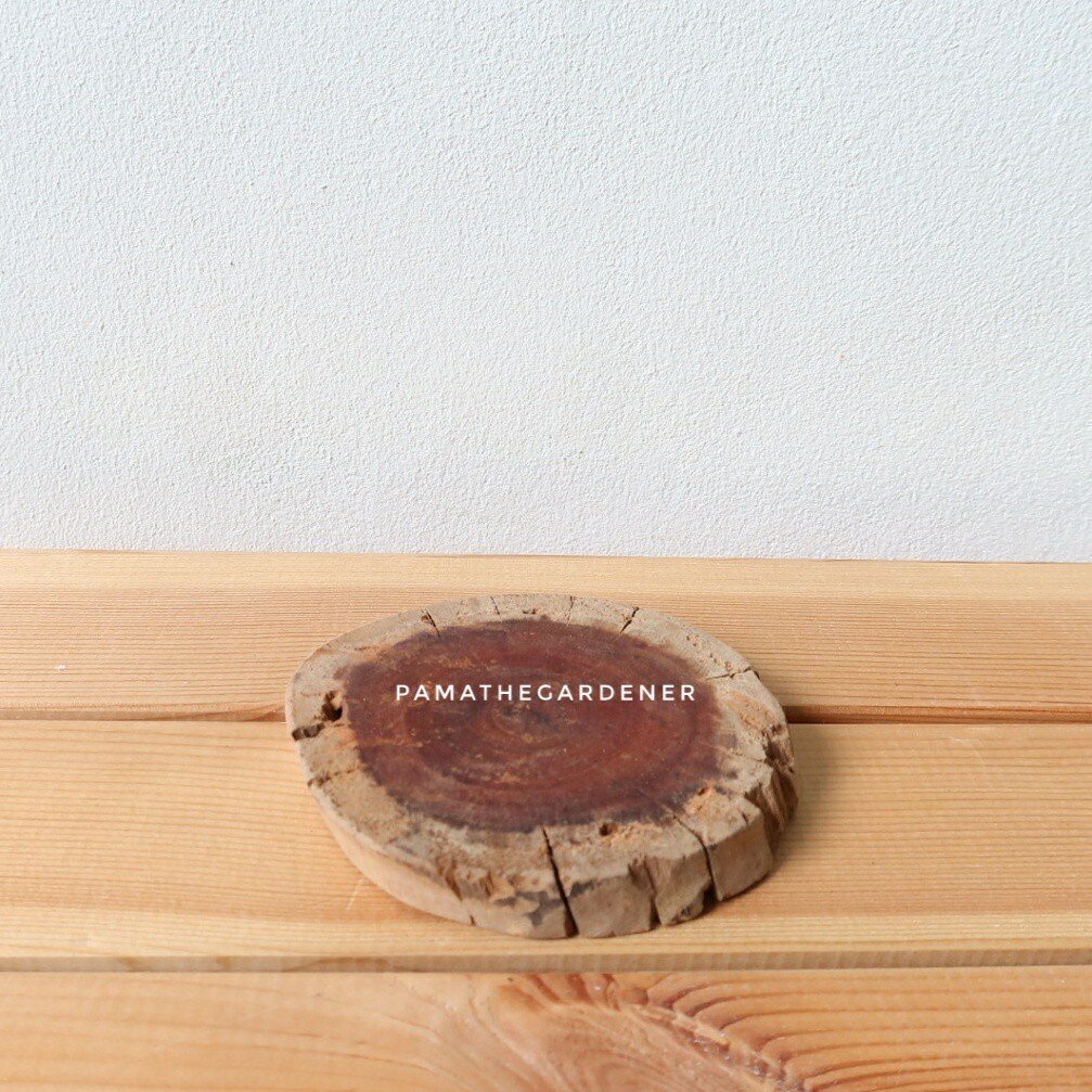 มุมมอง 2