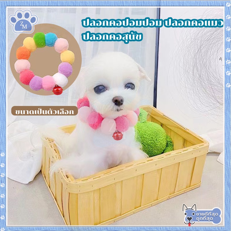 รูปภาพ 4