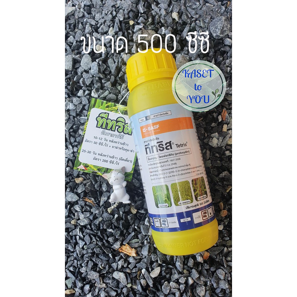 ทีทรีส ขนาด 500 ซีซี โพรฟอกซิดิม กำจัดหญ้าดอกขาว ในนาข้าว กำจัดวัชพืชใบแคบ หญ้าข้าวนก หญ้าดอกขาว และหญ้านกสีชมพู
