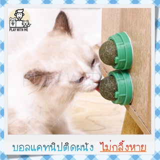 ✅พร้อมส่ง✅ กัญชาแมว แคทนิปบอล ติดกำแพง ไม่กลิ้งหาย catnip ball แมวฟิน บอลแมว สมุนไพรแมว หญ้าแมว