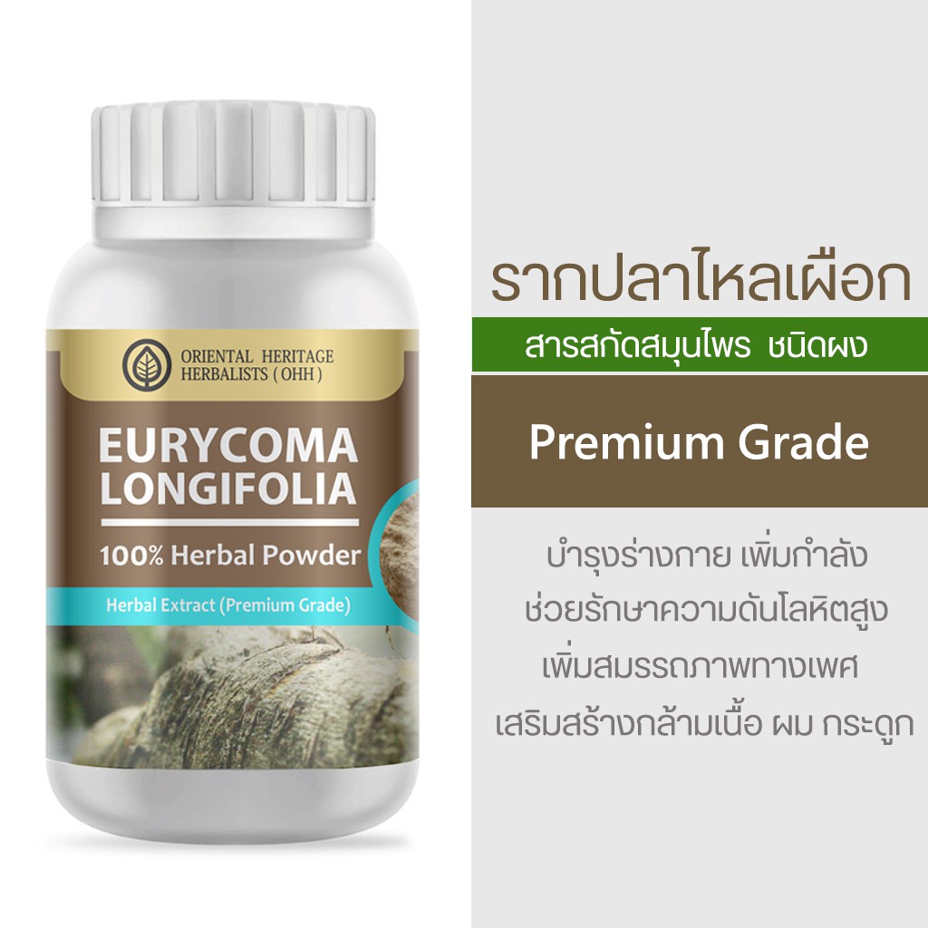 รากปลาไหลเผือก Eurycoma Longifolia Herb Powder Extract 100% (เกรดพรีเมี่ยม) ชนิดผง ขนาด 50 กรัม