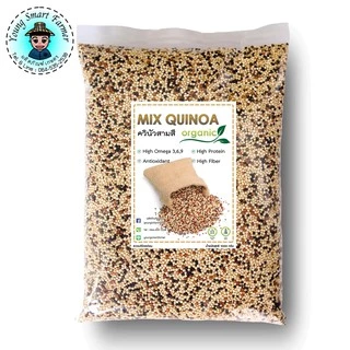 (มี อย.)MIX QUINOA ควินัวสามสี 1 กิโลกรัม
