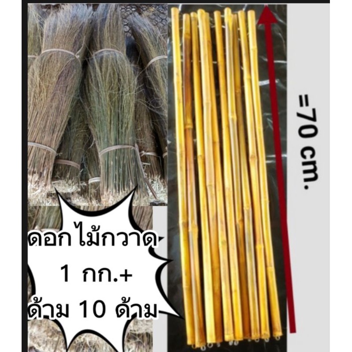 ดอกไม้กวาด1กก. + ด้ามไม้กวาด 10ด้ามราคา170
