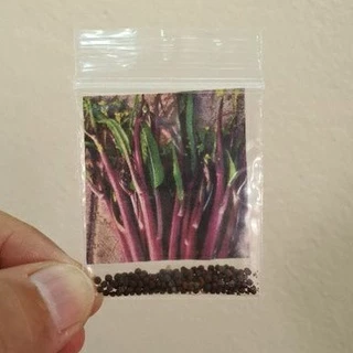 กวางตุ้งก้านสีแดง🎯ถูกที่สุด10 บ.🎯50เมล็ด🎈งอกง่าย🌱โตไว☘️พุ่มใหญ่🌱ทานอร่อย