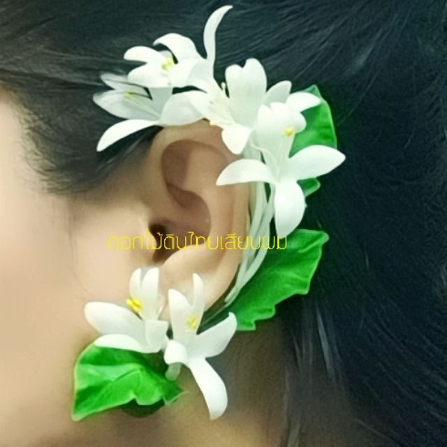 จรหูปีบ  จรหูดินไทย หลายแบบ