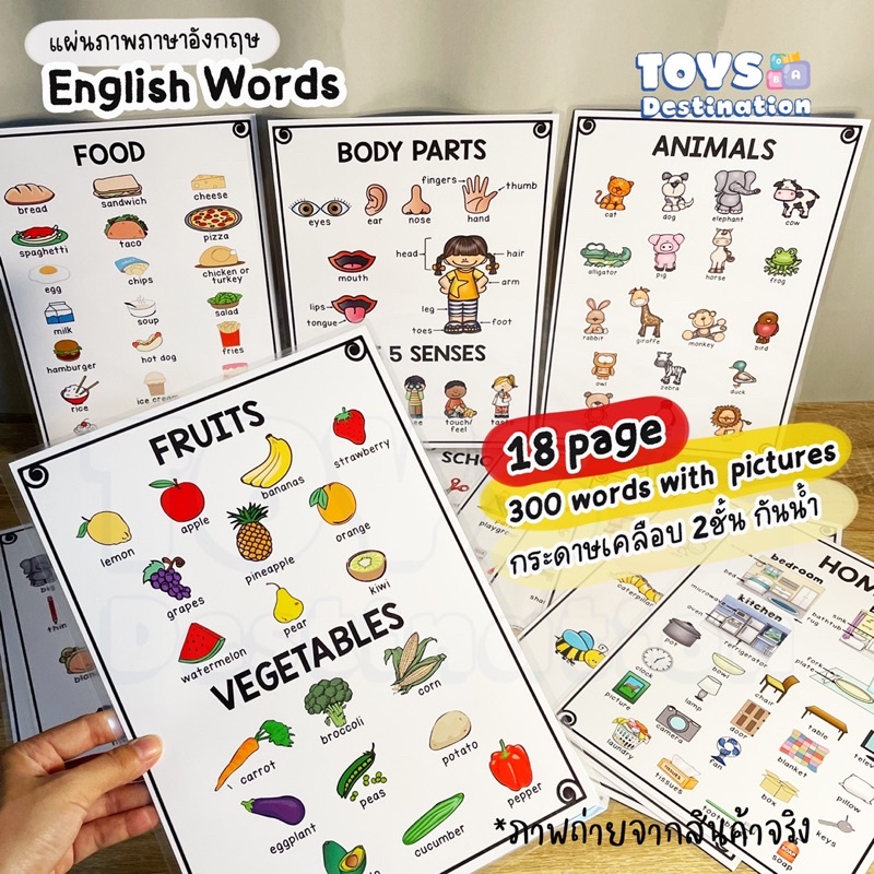 ✅พร้อมส่งในไทย✅ English Word Poster เคลือบ 2 ชั้น กันน้ำ ขีดเขียนได้ 18 เรื่อง B2204071