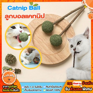 ลูกบอลแคทนิป เสียบไม้ บอล อมยิ้ม Catnip Ball 🐱 พร้อมส่งจากไทย ✅