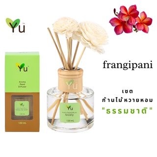 🌟🎁 ก้านไม้หอม 120 ml. กลิ่น Frangipani กลิ่นหอมดอกลีลาวดีสีแดง กลิ่นหอมแรง มีความละมุนน้อยแต่หอมตลบอบอวลชวนหลงใหล