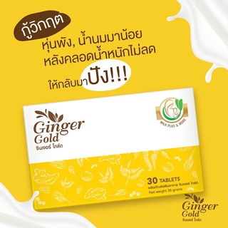 Ginger Gold จินเจอร์​โกลด์ วิตามินเพิ่มน้ำนม 1กล่อง 30 เม็ด บำรุงน้ำนมเหมาะสำหรับคุณแม่หลังคลอด Milkplusandmore