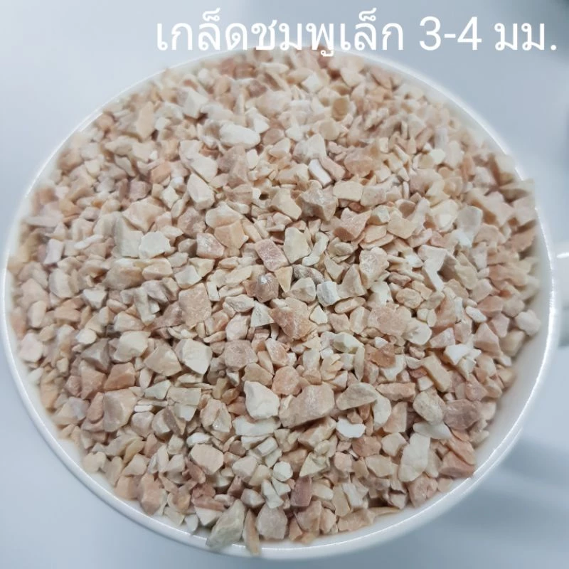 หินโรยหน้ากระถาง หินตกแต่งตู้ปลา 🌵ถุง 1 กิโลกรัม🐬 หินโรยกระถาง หินตู้ปลา หินแคคตัส หินบอนไซ thumbnail 9
