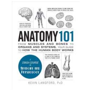 Anatomy 101 : From Muscles and Bones to Organs and Systems, Your Guide to How the Human Body Works (Adams 101) [Hardcove