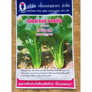 เมล็ดผักกาด ผักกวางตุ้ง กวางตุ้งใบ พันธุ์พิเศษ คุณภาพดี ให้ผลผลิตสูง โตเร็วมาก (30 วัน)