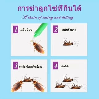 เจลกำจัดแมลงสาบ ยาแมลงสาบ ที่ดักแมลงสาบ roach doctor ฆ่าแมลงสาบอย่างมีประสิทธิภาพ ฆ่าเสี่ยวเฉียง จับแมลงสาบง่ายๆ