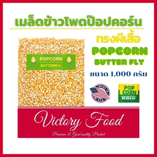 เมล็ดข้าวโพดดิบ สำหรับทำป๊อปคอร์น แบบ Butter Fly ขนาด 1,000 กรัม