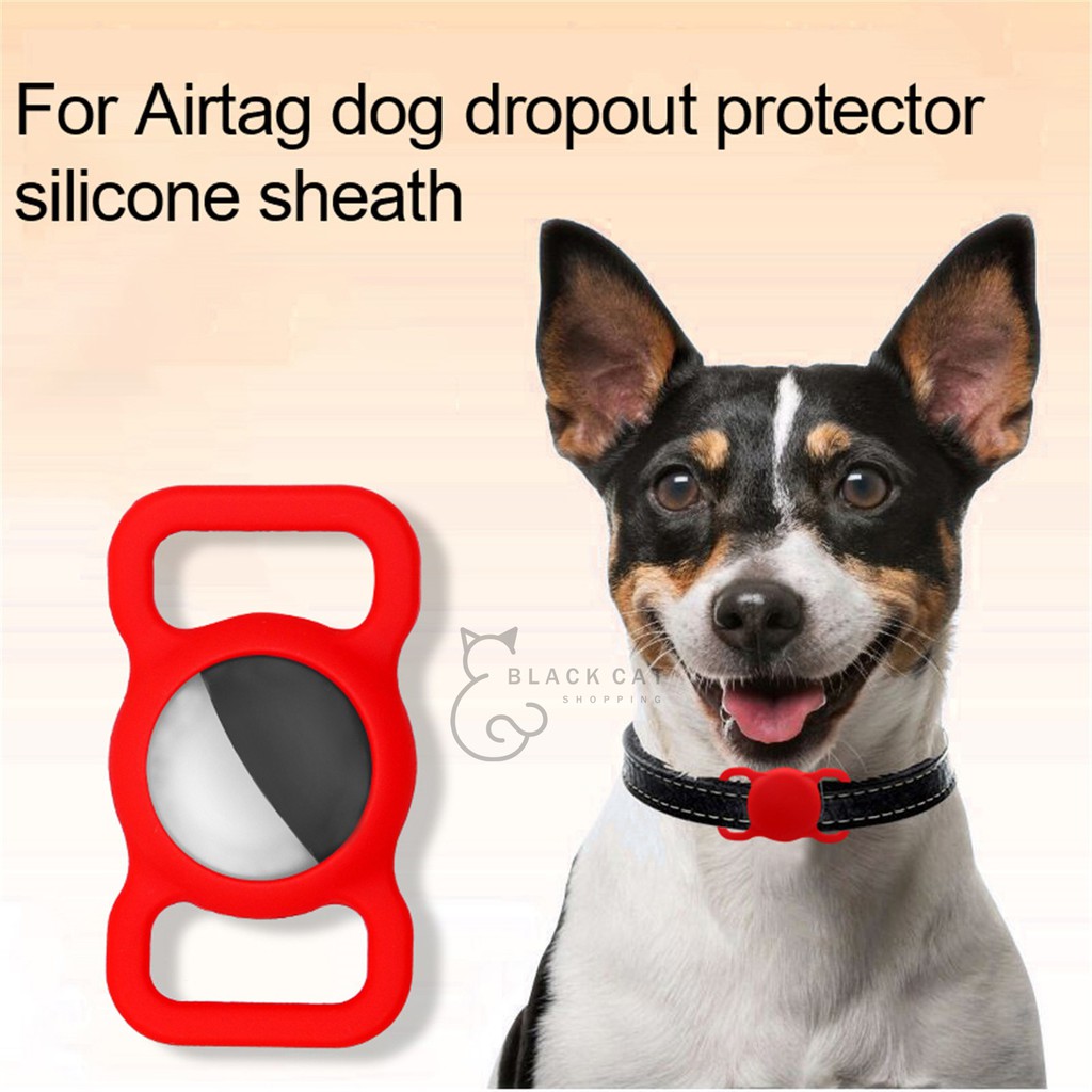 รูปภาพ 4