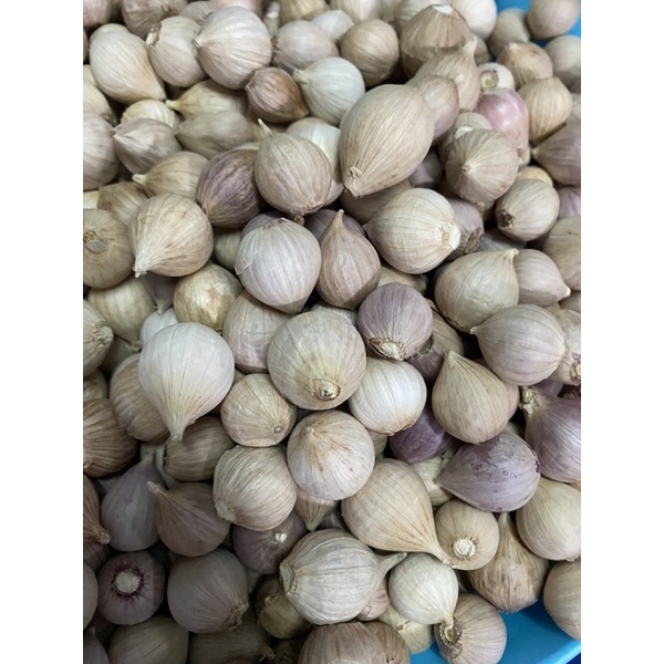 กระเทียมโทนสด (พื้นเมือง)