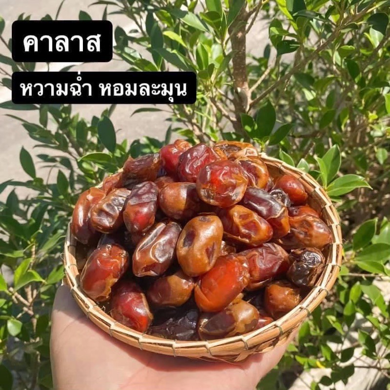 อินทผาลัม สายพันธุ์คาลาสคัดพิเศษ ขนาด500กรัม #อินทผาลัม